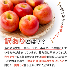 青森りんご　【2024年12月後半発送】【訳あり】葉とらずサンふじりんご約5kg青森県産 青森りんご 赤いりんごふじりんごサンふじりんご青森のりんご訳ありりんごワケアリりんご訳アリりんご