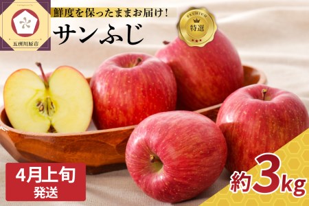 【2026年4月上旬発送】≪特選≫ りんご サンふじ 約3kg 贈答用 （スマートフレッシュTM貯蔵またはCA貯蔵）青森県 五所川原市