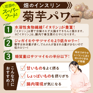 菊芋　パウダー 100g 粉末 菊芋パウダー イヌリン 【 きくいも キクイモ 赤菊芋 五所川原 イヌリン 】 