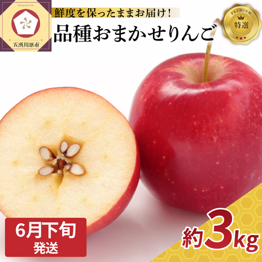 【2026年6月下旬発送】特撰丸かじりりんご約3kg 品種おまかせ1種(スマートスレッシュまたはCA貯蔵)