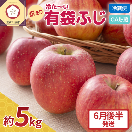 【2026年6月後半発送 】りんご ふじ 訳あり 約 5kg【 有袋栽培 CA貯蔵 クール便 果物類 林檎 家庭用 五所川原】