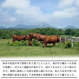 とわだ短角牛　ビーフカレー　青森県産　短角牛100%使用　210g　4食【1467331】