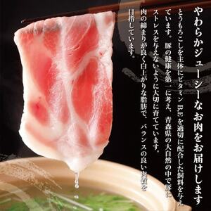 青森県十和田市産豚バラエティセット2.3kg【配送不可地域：離島】【1480303】