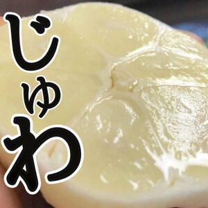 【月1000箱即完売】青森産「にんにくの王様白玉王」生にんにく8玉【令和7年6月より順次発送】【配送不可地域：離島】【1529089】