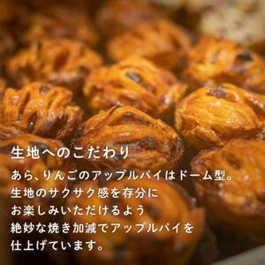 青森りんごのアップルパイ 4個セット【配送不可地域:離島】【1532993】