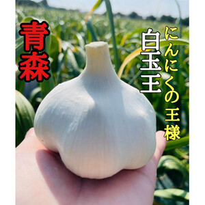 【数量限定】青森県産熟成黒にんにく【黒玉王】1.2kg【配送不可地域：離島】【1591858】