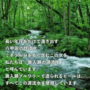 奥入瀬ビール(クラフトビール)ランダム飲み比べ8本セット【配送不可地域：離島】【1626867】