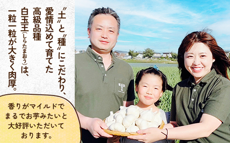 【テレビ紹介】青森にんにく白玉王1kg (産地直送・農家レシピ付き)【配送不可地域：離島】【1592810】