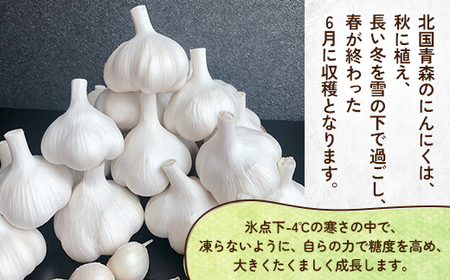 【テレビ紹介】青森にんにく白玉王1kg (産地直送・農家レシピ付き)【配送不可地域：離島】【1592810】