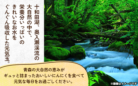 【テレビ紹介】青森にんにく白玉王1kg (産地直送・農家レシピ付き)【配送不可地域：離島】【1592810】