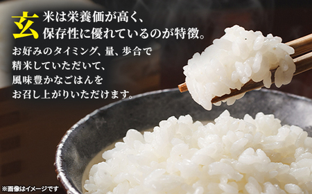 【令和7年産】青森県産まっしぐら30kg(玄米)【配送不可地域：離島・沖縄県】【1664256】