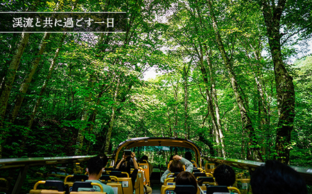 星野リゾート 奥入瀬渓流ホテル 宿泊ギフト券(15,000円分)【1668874】