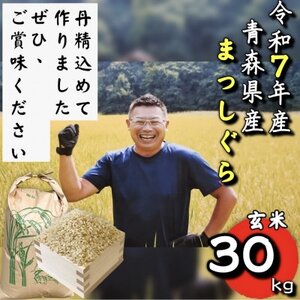 【令和7年産】青森県産まっしぐら玄米30kg【配送不可地域：離島・沖縄県】【1678881】