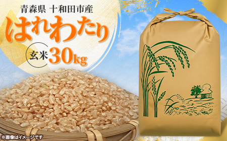 【令和7年産】はれわたり30kg(玄米)【配送不可地域：離島・沖縄県】【1680302】