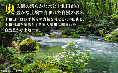 【令和7年産】はれわたり30kg(玄米)【配送不可地域：離島・沖縄県】【1680302】
