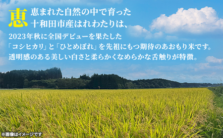 【令和7年産】はれわたり30kg(玄米)【配送不可地域：離島・沖縄県】【1680302】