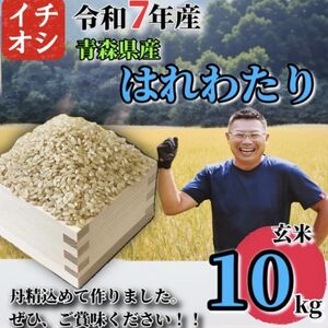 【令和7年産】青森県産 はれわたり 玄米 10kg【配送不可地域：離島・沖縄県】【1684628】