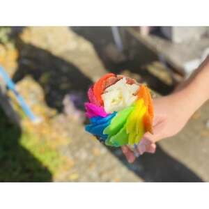 10色アイスセット【配送不可地域：離島】【1675907】