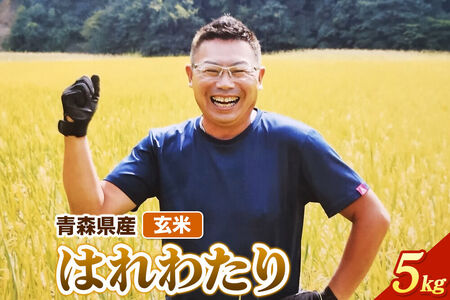 玄米 青森県産 はれわたり 令和7年産 5kg (5kg×1袋）十和田市産