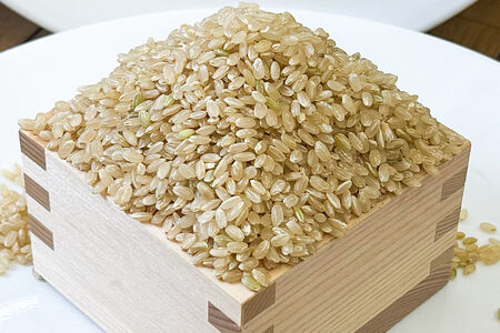 玄米 青森県産 はれわたり 令和7年産 5kg (5kg×1袋）十和田市産