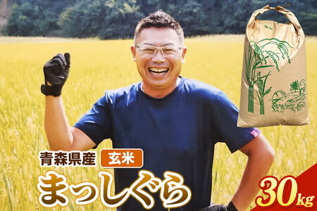 玄米 青森県産 まっしぐら 令和7年産 30kg (30kg×1袋）十和田市産