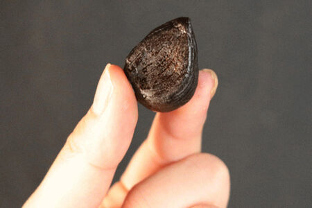 熟成黒にんにく「黒宝」500g 青森県産 添加物不使用 国産ブランドにんにく 福地ホワイト 青森期待の新人商店