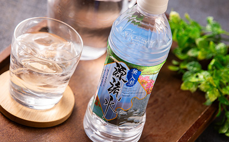 奥入瀬源流水500ml×24本【配送不可地域：離島】【1006084】