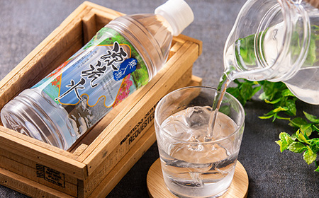 奥入瀬源流水500ml×24本【配送不可地域：離島】【1006084】