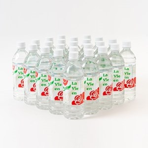 天然シリカ水ラビアン　500ml×24本(1箱)【配送不可地域：離島】【1114848】