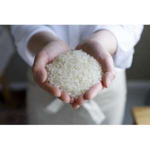 青森県産 はれわたり 白米5kg【1460206】