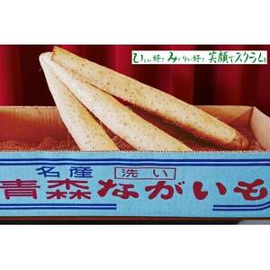 【JAおいらせ】青森県三沢市産 長いも 5kg【配送不可地域:離島】【1699997】