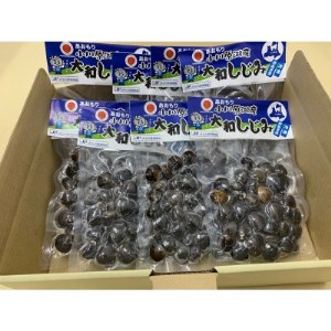 青森県　小川原湖産大和しじみ(冷凍)150g×8p【配送不可地域：離島】【1346275】