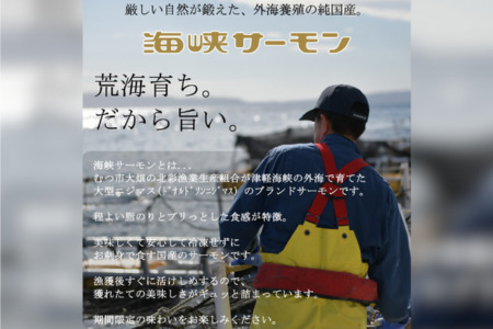 【2025年5月上旬発送】海峡サーモン　活〆お刺身さく2本 800g