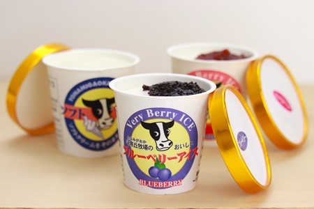 アイスクリーム類セット(3種)