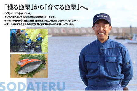 【期間限定発送】海峡サーモン船上活〆2.5kg１本(冷蔵)