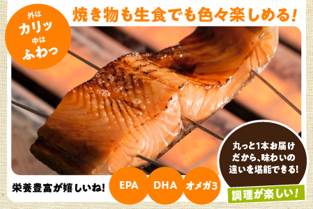 【期間限定発送】海峡サーモン船上活〆3.0kg 1本（冷蔵）