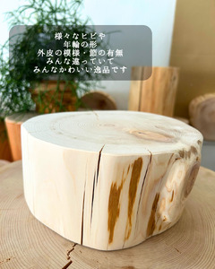 青森ヒバの小さな丸太