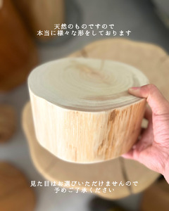 青森ヒバの小さな丸太
