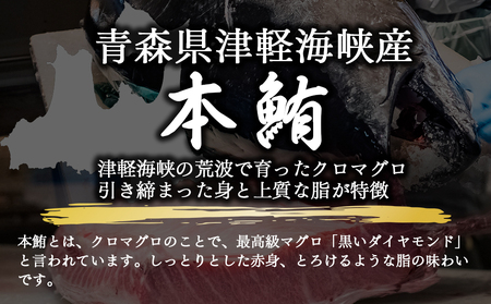 ＜引き締まった旨味＞津軽海峡産まぐろ(中トロ200g)
