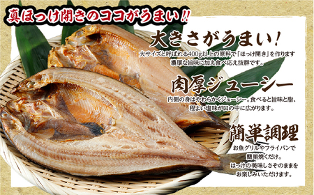 下北屋　真ほっけ開き　2枚入