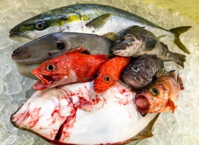 【2月発送開始】おさかなマイスター厳選 冬の魚介類BOX (SS)