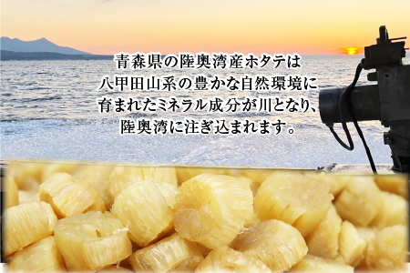 陸奥湾産ほたて干し貝柱(Mサイズ100g×2)