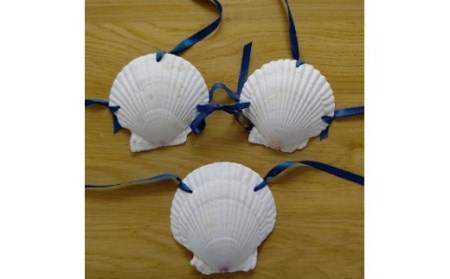 「ホタテ水着 上下セット」と「漁師カード マダム・ムチュリーホタテ水着version 1枚」