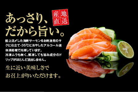 【期間限定発送】活〆海峡サーモン　お刺身さくと生切身A(冷蔵)　特製漬タレ付
