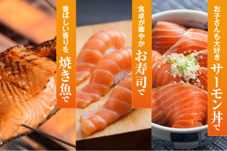 【期間限定発送】活〆海峡サーモン　お刺身さくと生切身A(冷蔵)　特製漬タレ付