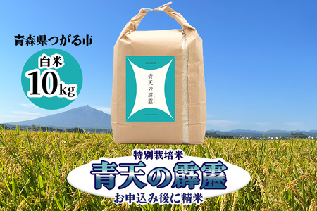 青天の霹靂 (特別栽培米) 白米10kg 令和7年産 青森県産米 [お申込み後に精米]｜2025年産 つがる市 お米 米 こめ コメ へきれき 白米 精米 特栽米 ブランド米 [0899]