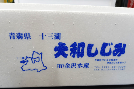 青森県十三湖産【冷凍】ヤマトシジミ 大 1kg｜十三湖産 青森 津軽 つがる しじみ みそ汁 味噌汁 しじみ汁 [0555]