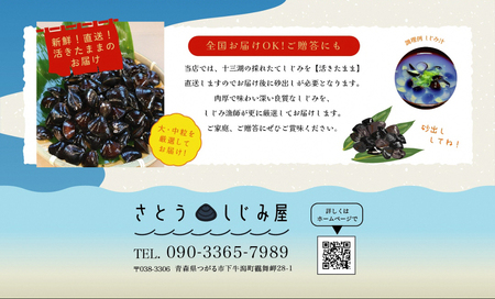 [令和7年1月第4日曜日配達] さとうしじみ屋の十三湖産活しじみ(大粒1kg)[冷蔵]｜十三湖産 青森 津軽 つがる しじみ みそ汁 味噌汁 しじみ汁 活しじみ 冷蔵 [0599]