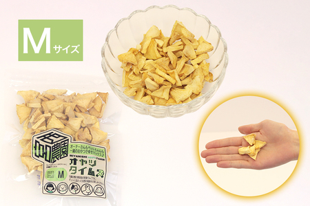 ペットのおやつ オヤツタイムズ 35g×3袋セット (S・M・Lサイズ入り)｜ペットフード ドライフルーツ ドッグフード ドックフード 犬 おやつ [0757]