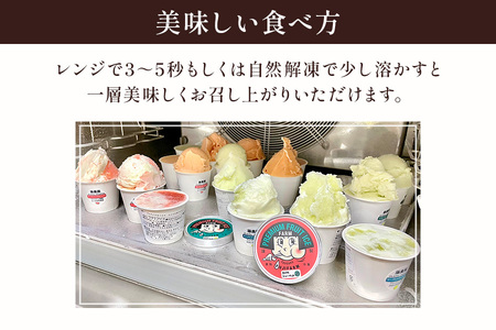 藤農園のプレミアム果物アイスクリん 120ml×6個セット｜アイス ジェラート アイスクリーム アイスミルク シャーベット マーブル フルーツ 果物 メロン めろん スイカ すいか 西瓜 青森 つがる 特産 プレミアム おやつ スイーツ デザート 農福連携 [0922]